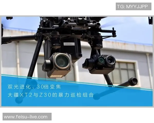 加维引领新风潮探索未来科技与生活的完美融合之路 加维引领新风潮探索未来科技与生活的完美融合之路